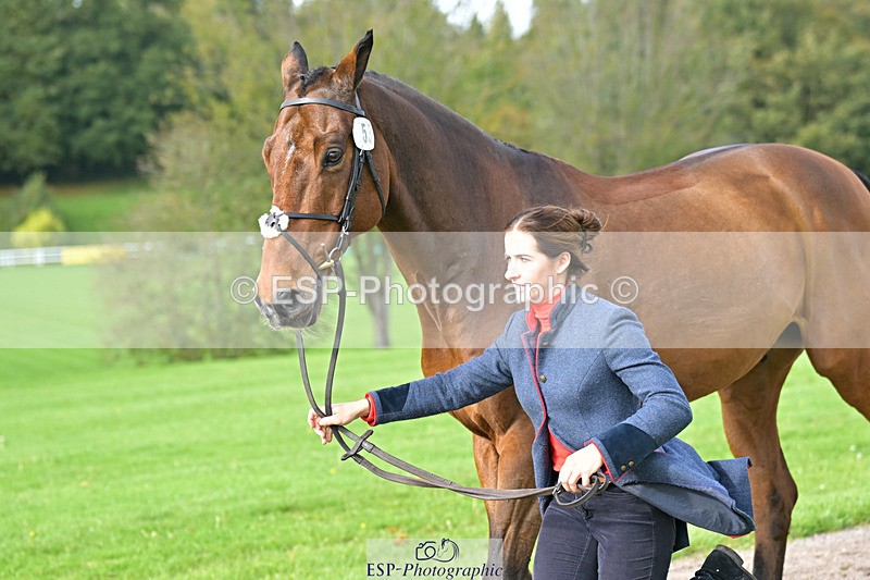 241023-132703-00301 - 053-Lois.Teal-Z7.CATASTROPHE