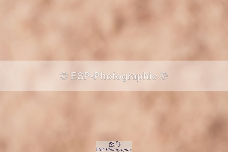 240506A-145020-09738 - Cls 19 Club 70cm