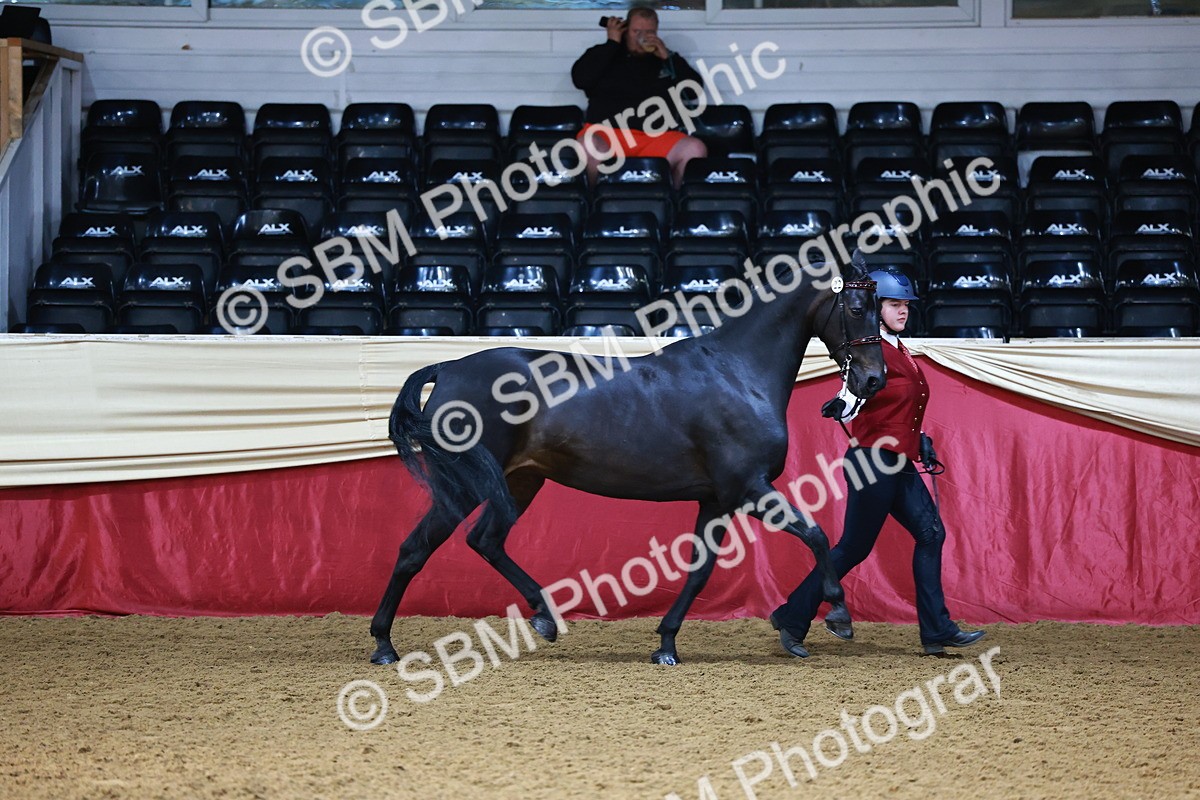 SBM_22201 - Class 902 - Supreme Final - IH Diamond