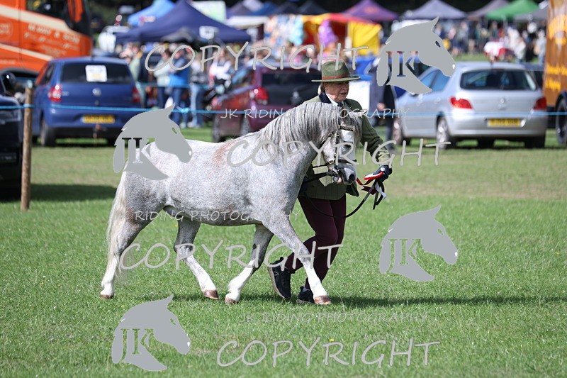 APP_3009 - Class 10a/b M&M in hand