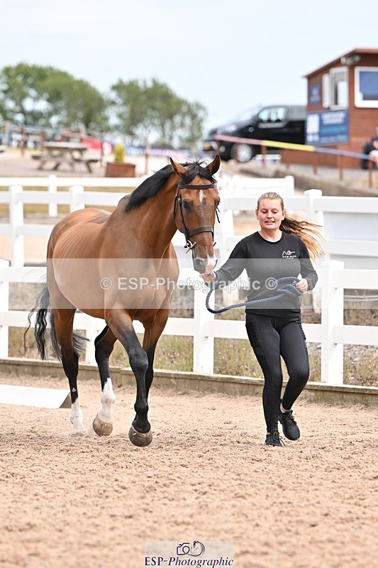 250716-154310-02158 - Trot Up 3.30 to 4.30