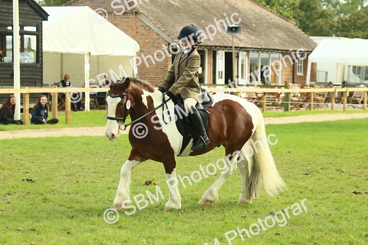 SBM_68231 - S58 - Mini Show Cob Ridden