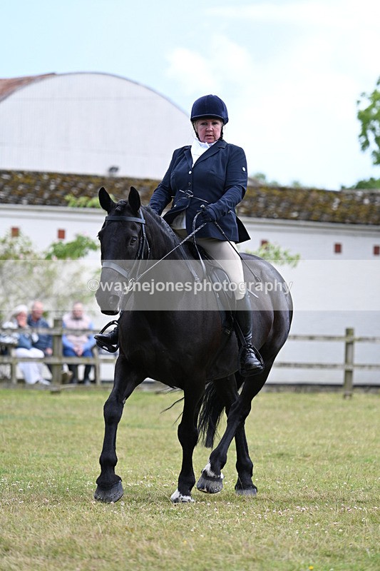 WJ7_9551 - Class 8 Ridden Veterans