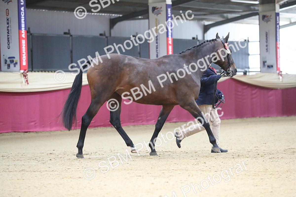 SBM_00227 - Class 1a - Area IH Diamond