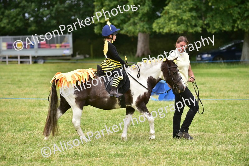 20260614-3242 - Class 14 - Fancy Dress
