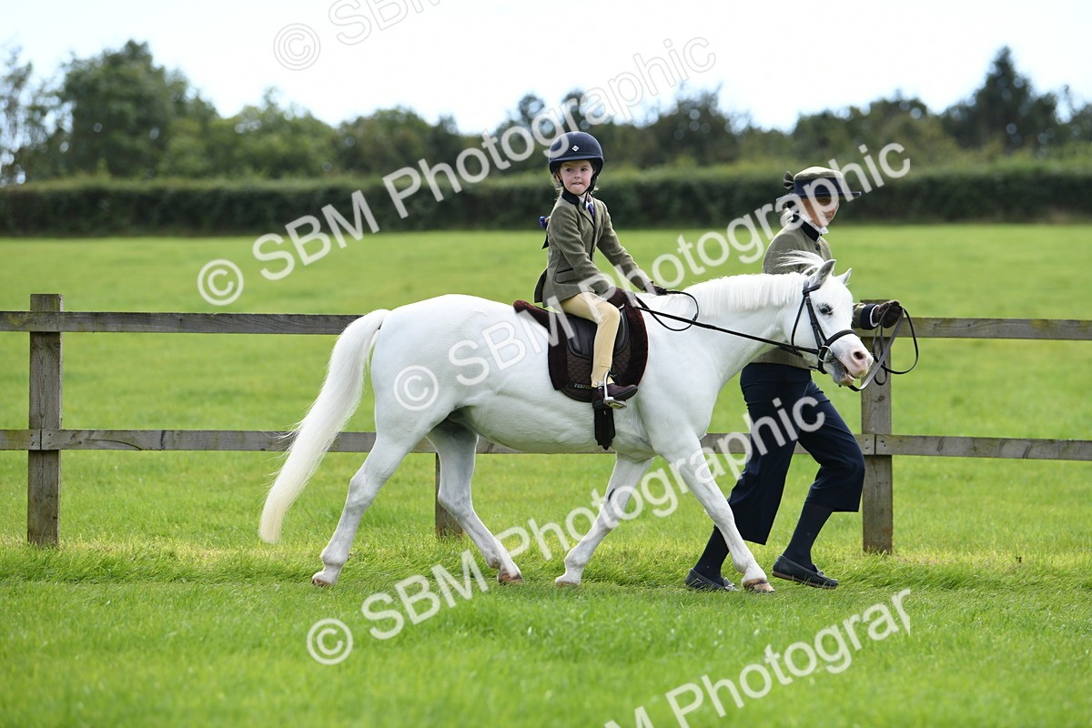 SBM_42473 - S20 - Lead Rein Mountain & Moorland Pony