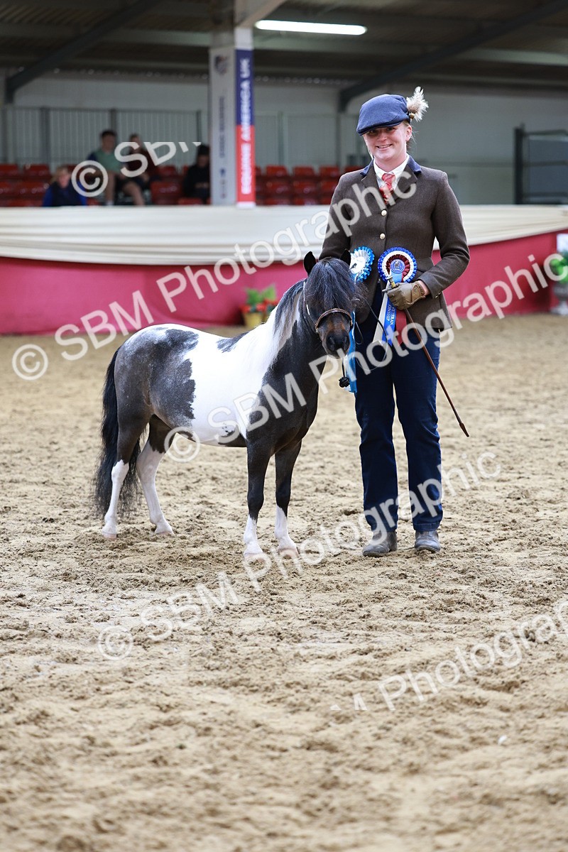 SBM_15753 - Class 110 - IH  Minature Horse