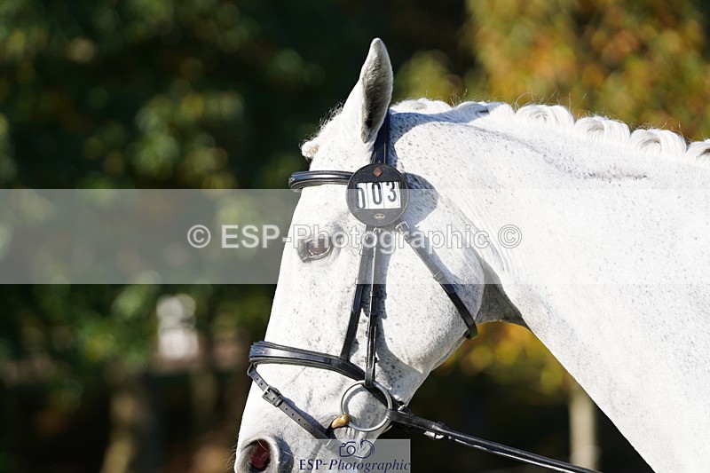 241026-101608-11735 - 003-Lydia.Heywood-COLACENTRIC