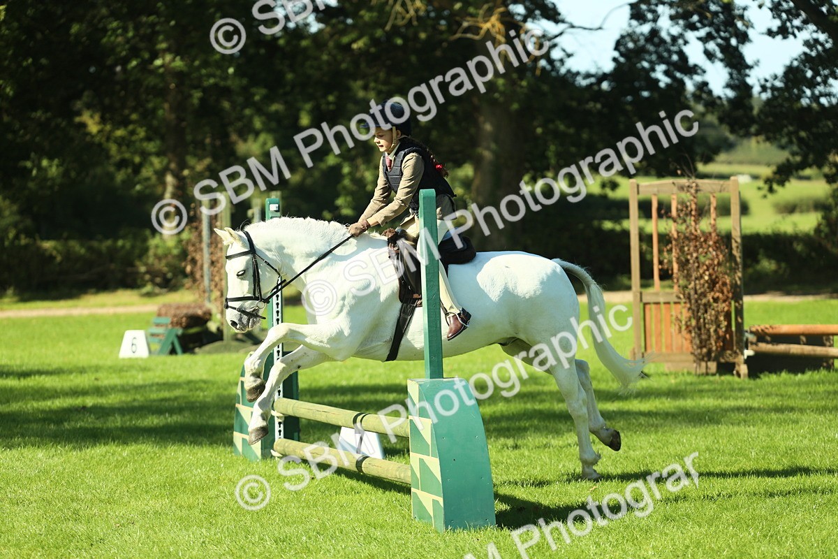 SBM_37510 - S29 - Novice & Newcomers Working Hunter Pony