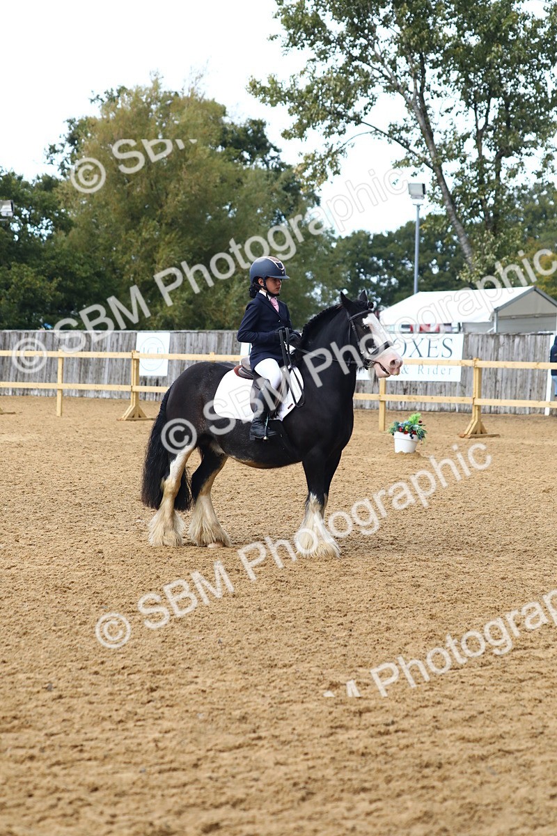 SBM_42605 - D21 - Junior Championship Intro 1