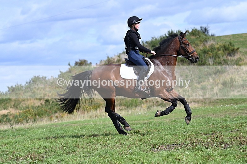 WJ7_1907 - Time 13:17 to 13:53