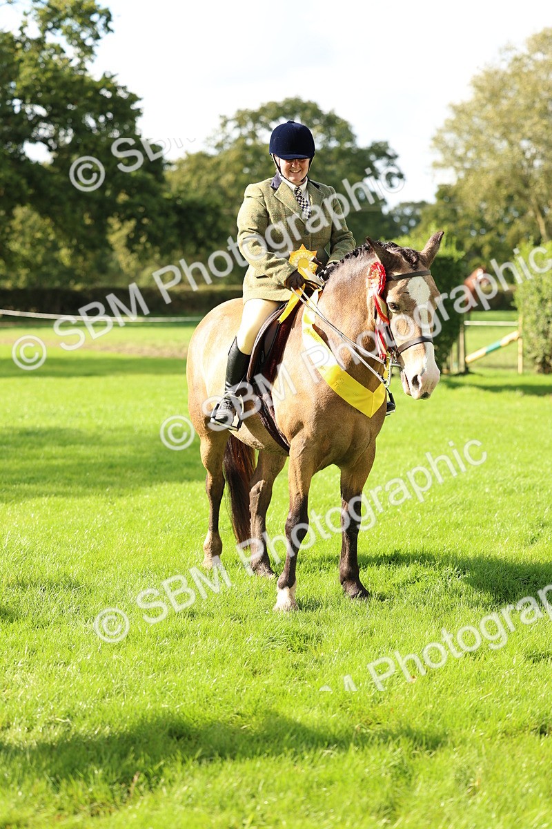 SBM_46423 - Working Hunter Pony Supreme Championship