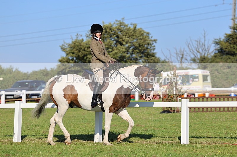 IMG_1195 - Class 27: Ridden Plaited Coloured Horse