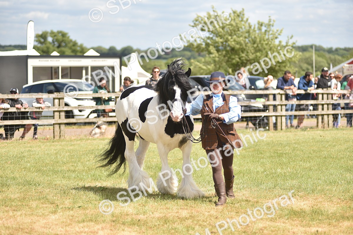 SBM_16065 - Class 117-122 - SSADL RIHS Qualifier