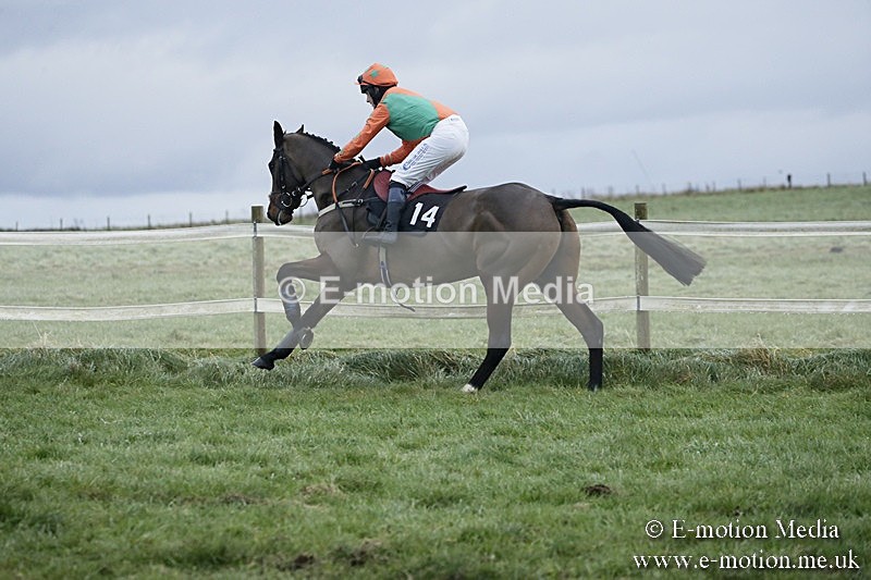 PtP 031217 851 - Hursley Hambledon Point-to-Point Larkhill 03/12/17
