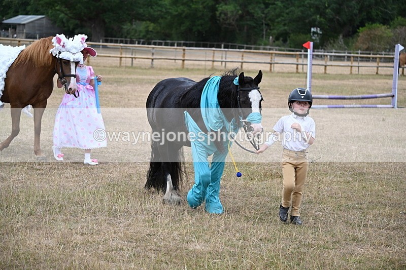 WJ6_8697 - Class 11 Fancy Dress