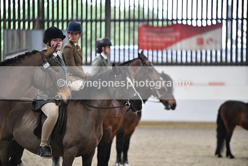 WJ5_8545 - Class 14 Novice Ridden/Rider