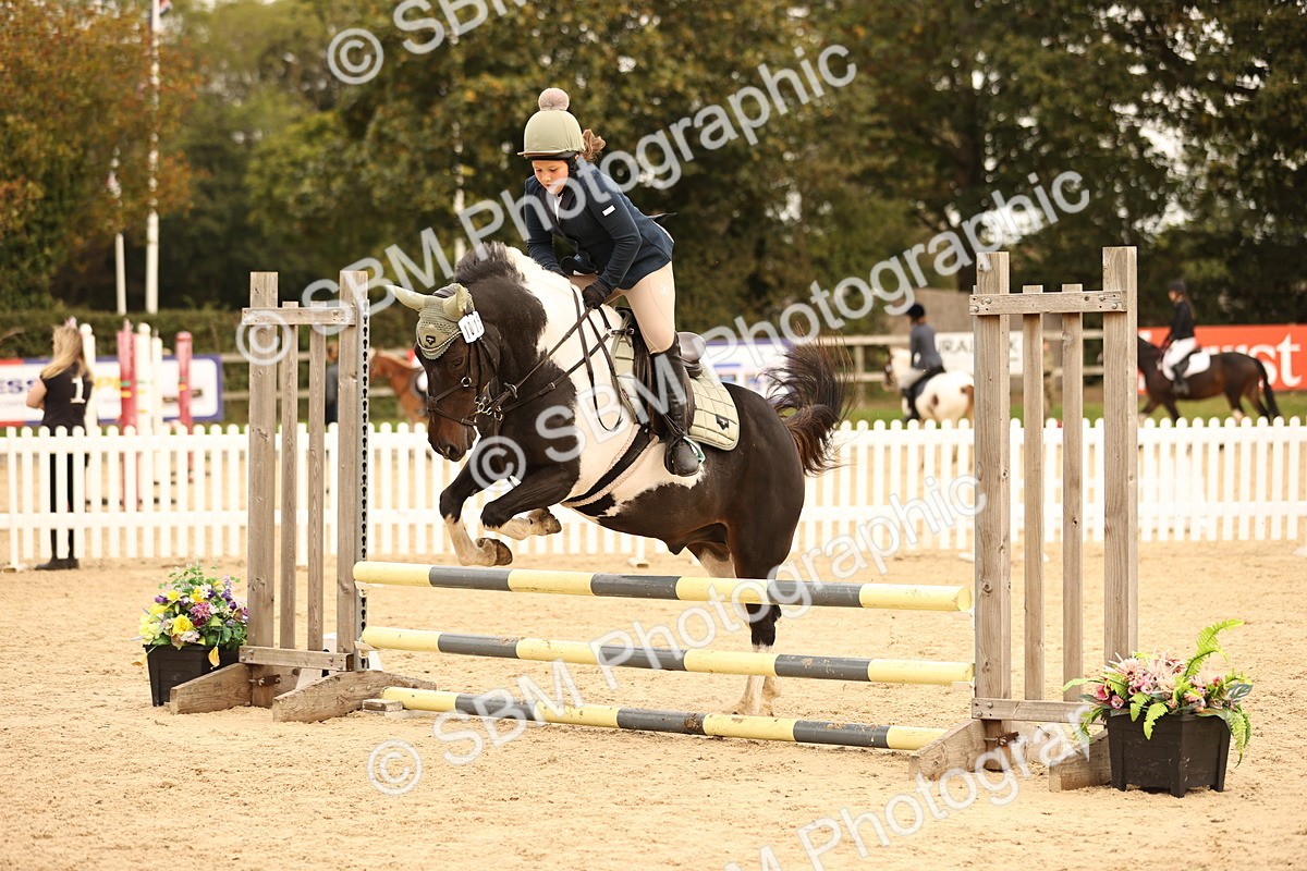 SBM_72534 - J14 - Junior Pony 65cm Championship