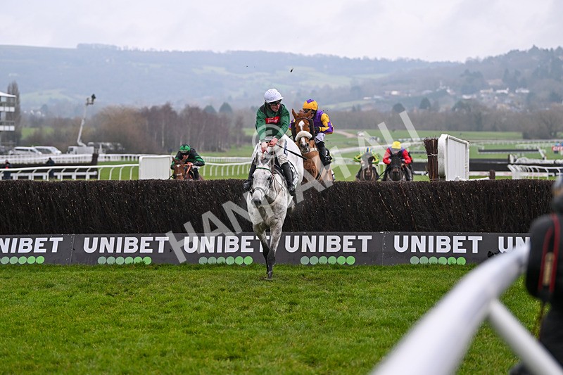 131224-Race 5-Numitor-9396 - Race 5