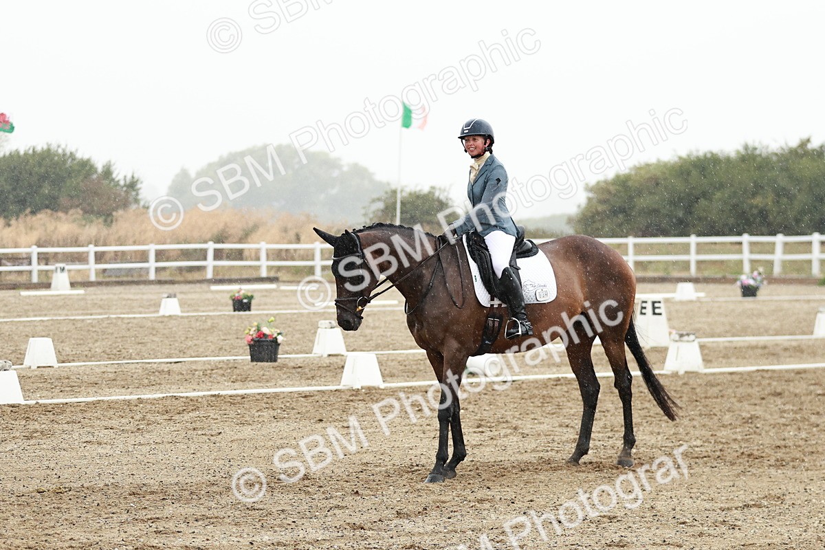 SBM_003911