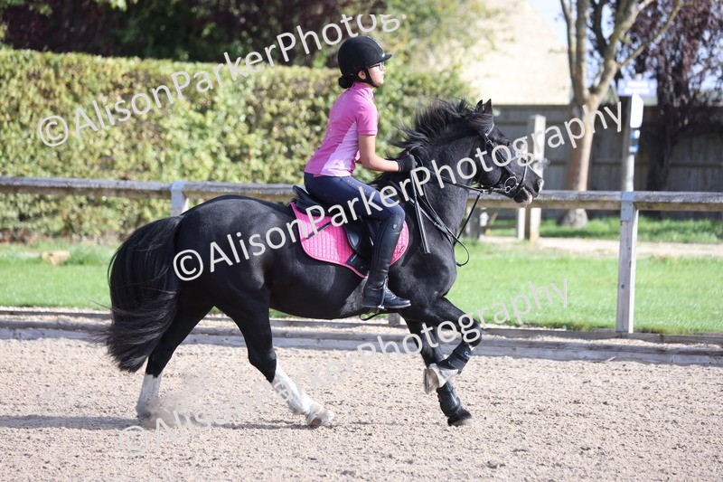 20251005-0308 - Class 3 - 60cm