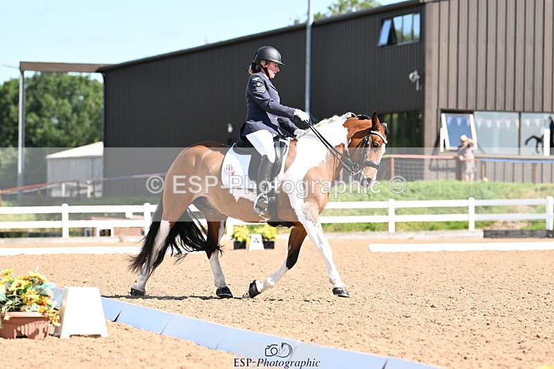 240816A-110738-03998 - 189-Mel.Day-Dolderwydd.lucky.Maisie