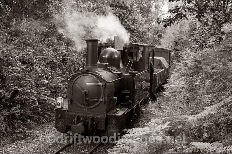 WLLR The Earl with goods wagons - The Welshpool & Llanfair Light Railway