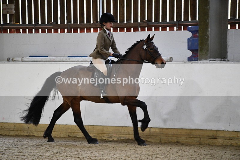 WJ5_7244 - Class 11 Ridden PC - RC Pony