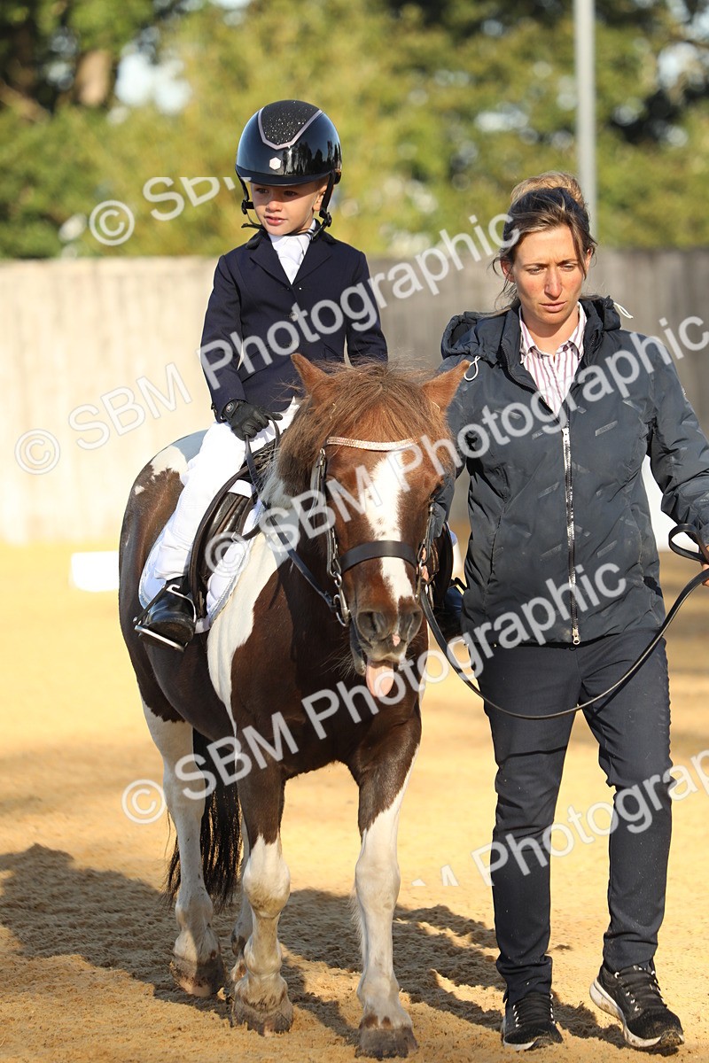 SBM_33690 - D26 - Starers - Lead Rein