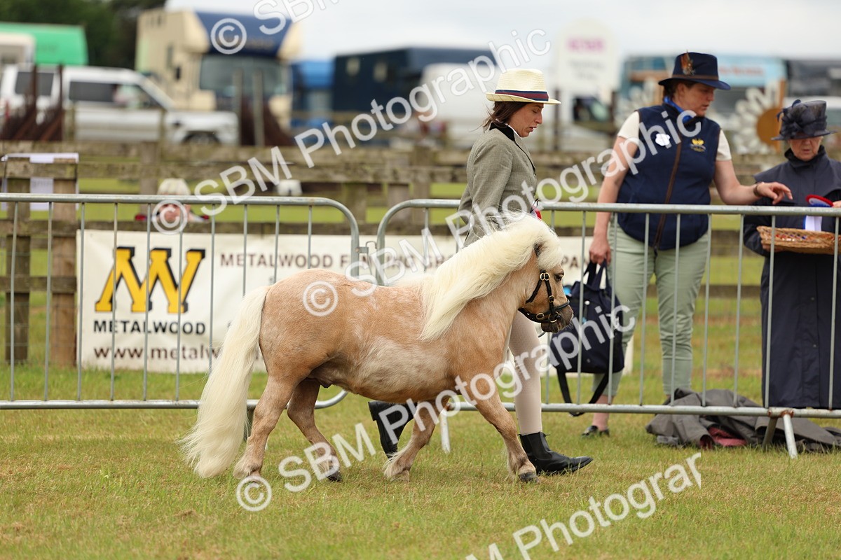 SBM_03503 - Class 58-67 - M&M Non Welsh Pony In hand