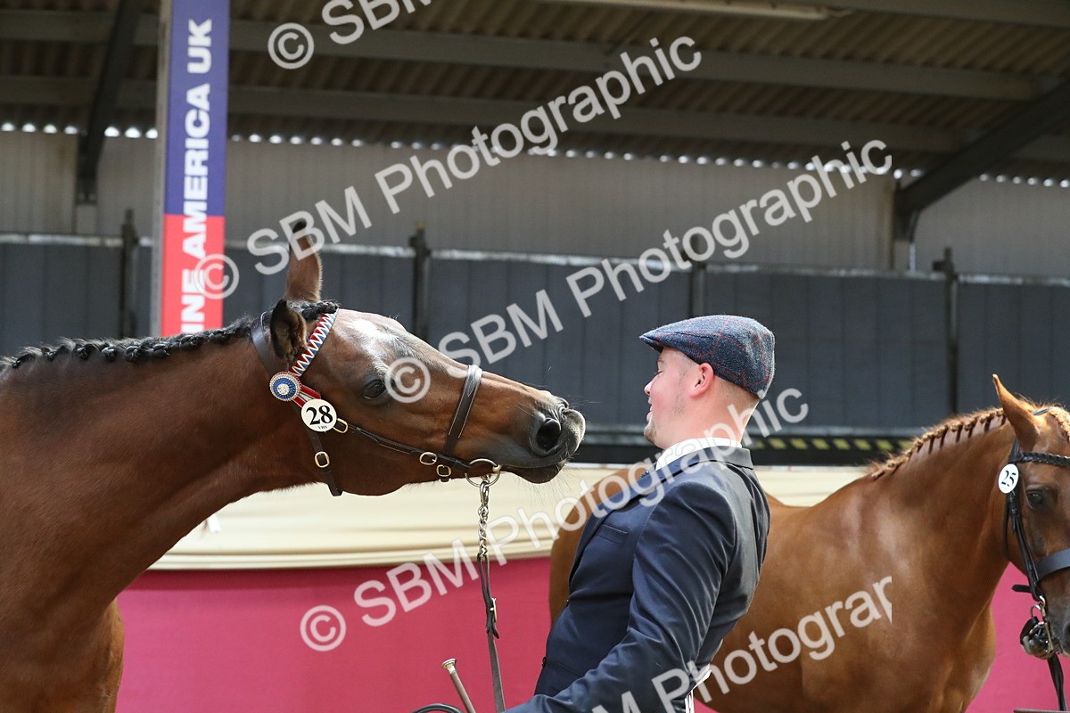 SBM_04433 - Class 7R Regional - IH Diamond