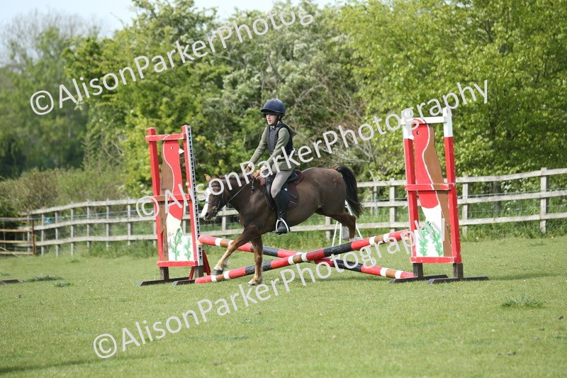 20260426-1692 - Class 14 - Novice 60cm
