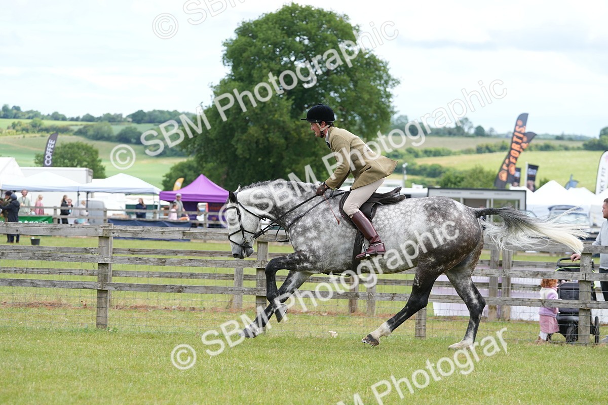 SBM_14886 - Class 100-102 - RIHS Working Hunter