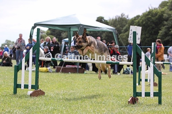 IMG_2791 - Wyre Dog Agility Club