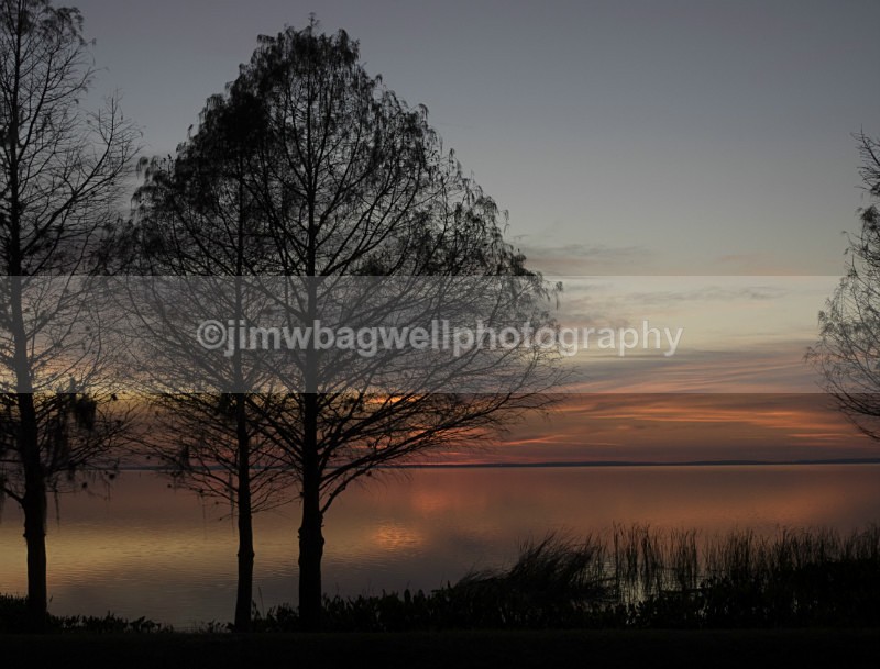 Lake Apopka Fl - The World Around Me