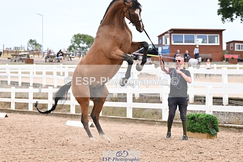 250716-155104-02223 - Trot Up 3.30 to 4.30