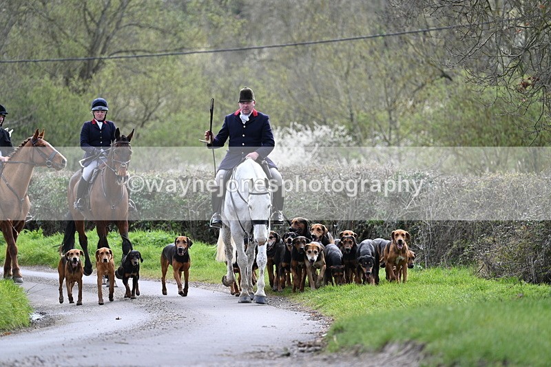 WJ7_9758 - Walk Home