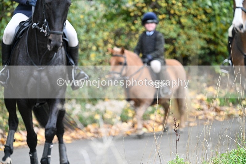 WJ7_7386 - Walk Home..