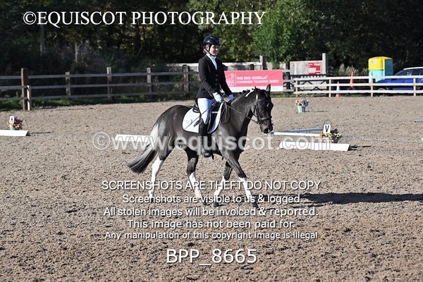 BPP_8665 - LONG ARENA