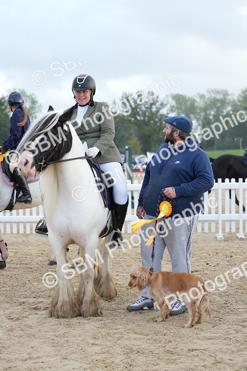 SBM_29220 - J43 - Horse & Hound Open 50cm