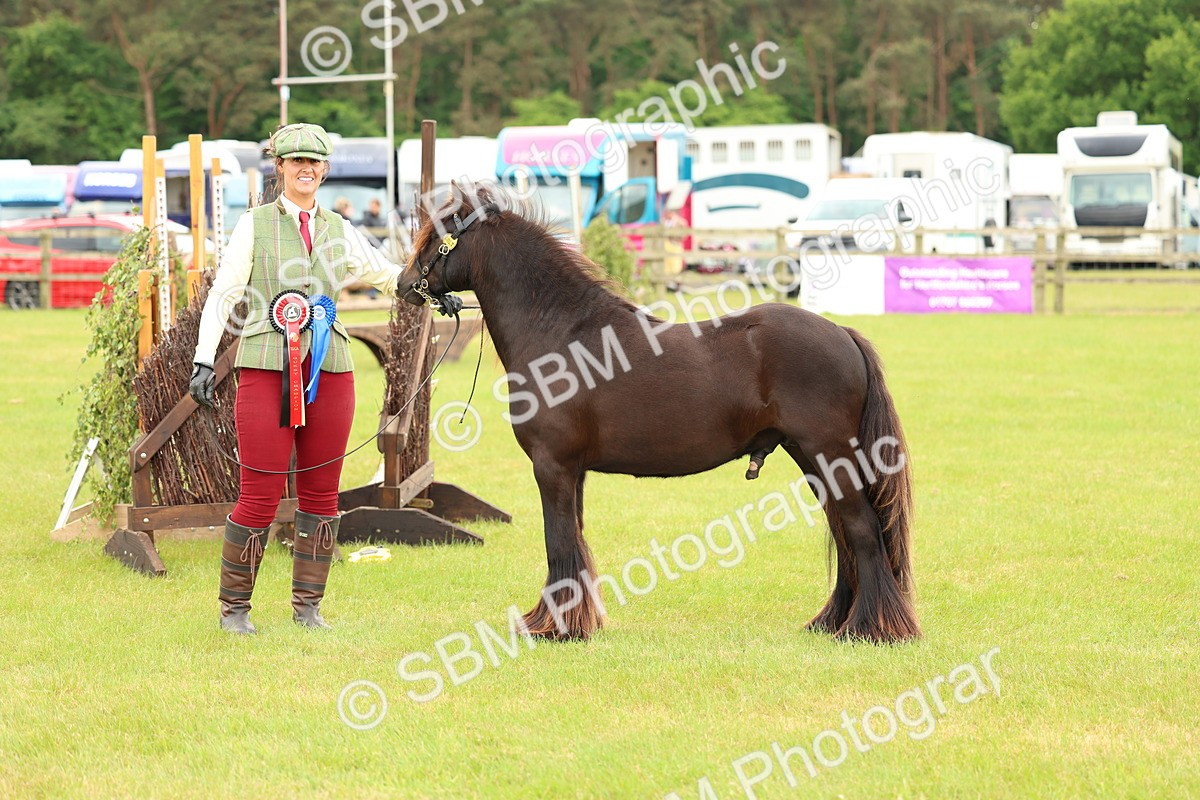 SBM_06355 - Class 39-41 TGCA In Hand and Ridden
