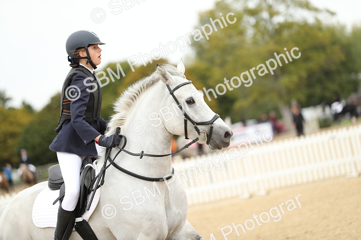 SBM_58794 - J25 - Junior Horse 80cm Championship
