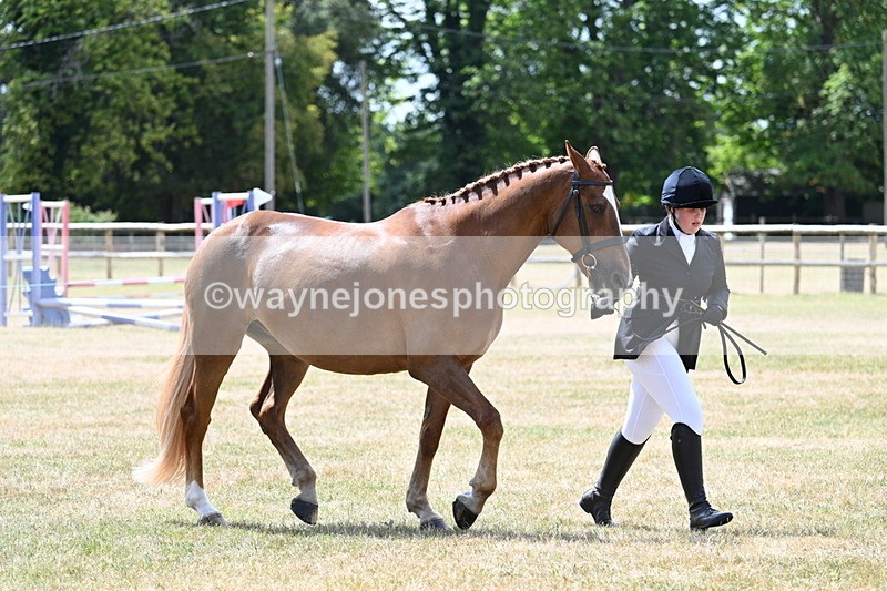 WJ7_1996 - Class 4a Prettiest Mare 14.2hh and over hand
