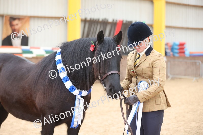 20251109-1251 - Supreme Championship