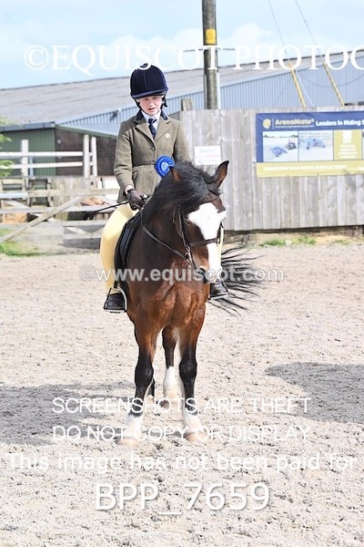 BPP_7659 - RING 1  (RIDDEN HORSES / IN HAND / VETERAN ETC)