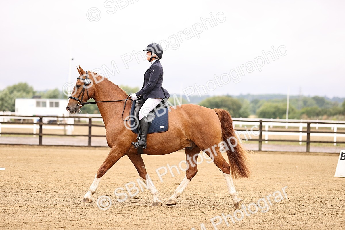 SBM_003203 - Class 3 - Prelim 2