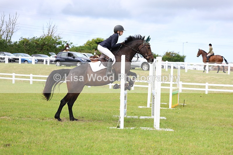 3E7A7692 - Class 13: Senior British Novice/90cm open