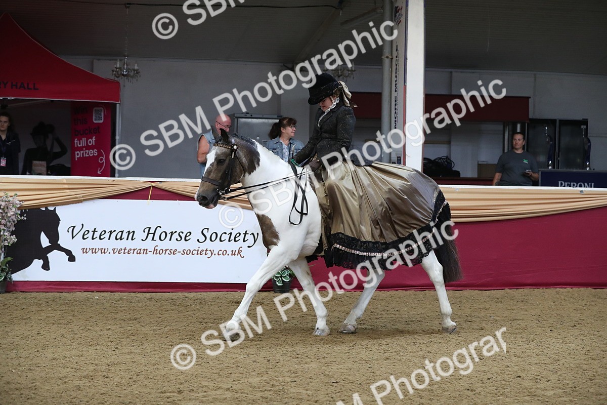 SBM_11313 - Class 104 Ridden Costume - Astride Junior