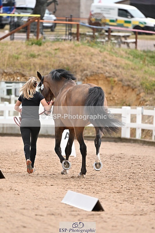 250716-145314-01473 - Trot Up 2.30 to 3.30