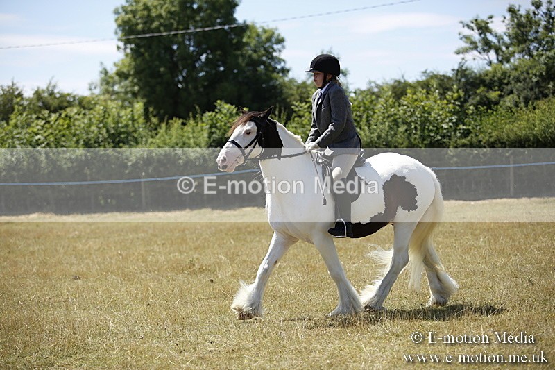 _C7A9895 - BVRC Show 2018 Ring 1